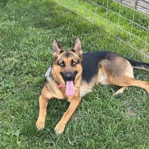 Fundraising Page: Doug Christie